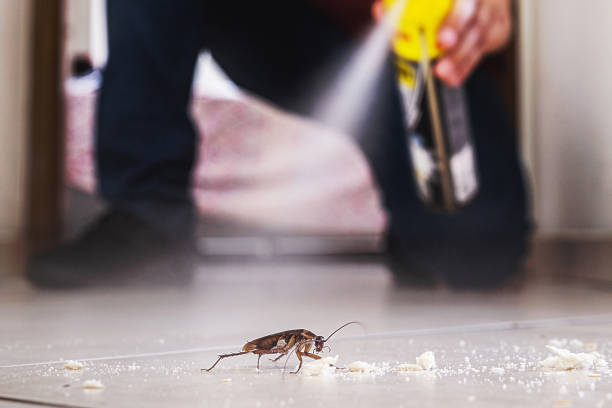 Pest Prevention Services in Langhorne Manor, PA