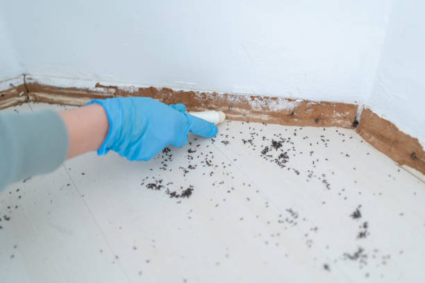 Best Pest Prevention Services  in Langhorne Manor, PA