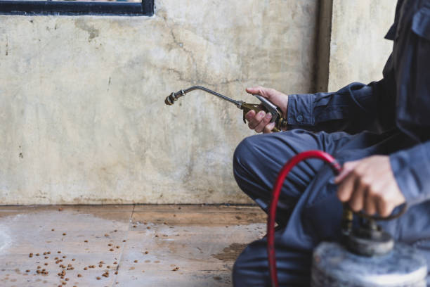 Best Mosquito Control Services  in Langhorne Manor, PA